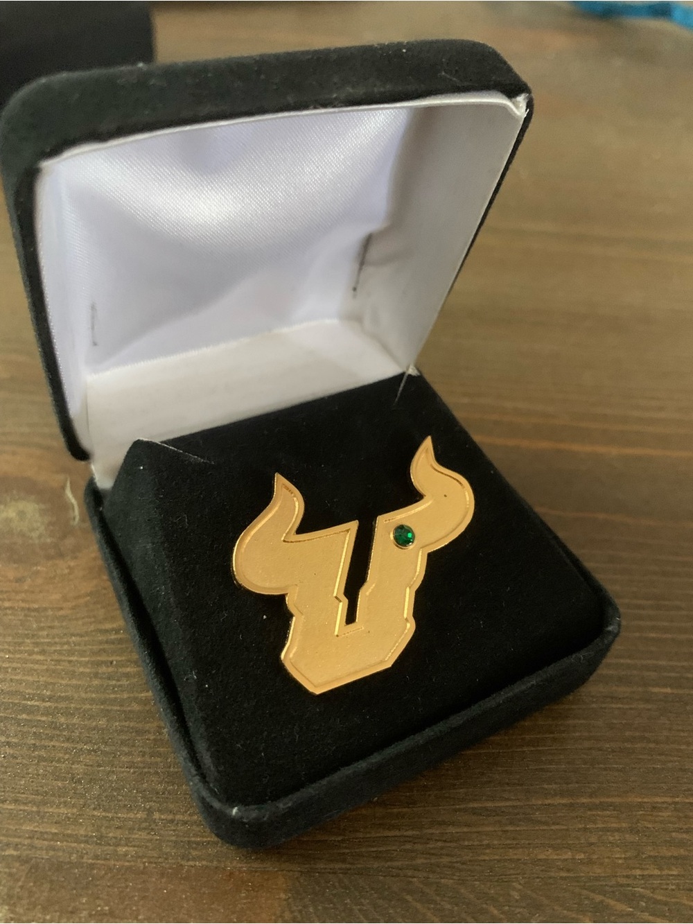 USF University of South Florida Bulls Pin